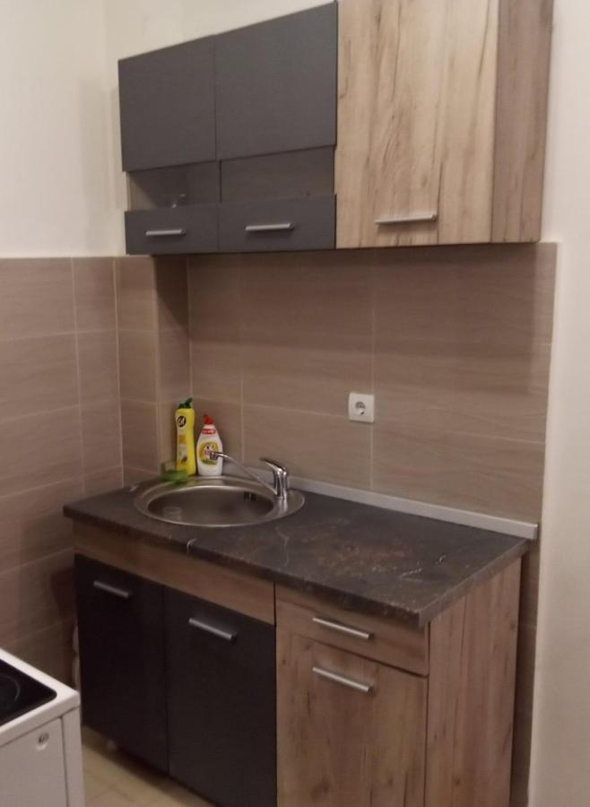 Lux Apartment Rose 2 60M2 كراغوييفاك المظهر الخارجي الصورة