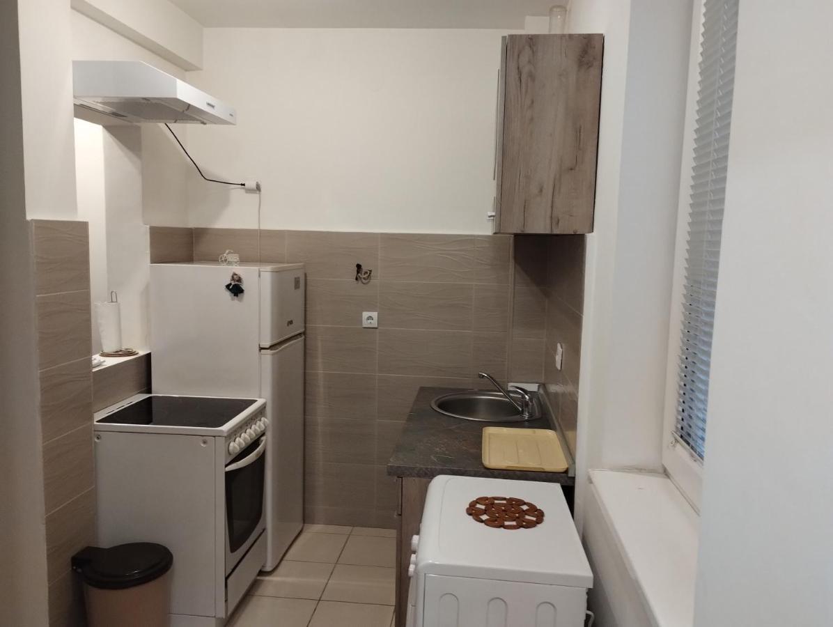 Lux Apartment Rose 2 60M2 كراغوييفاك المظهر الخارجي الصورة