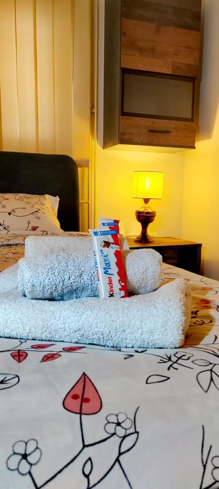 Lux Apartment Rose 2 60M2 كراغوييفاك المظهر الخارجي الصورة